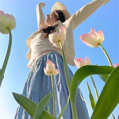 星星月亮太阳[上集]