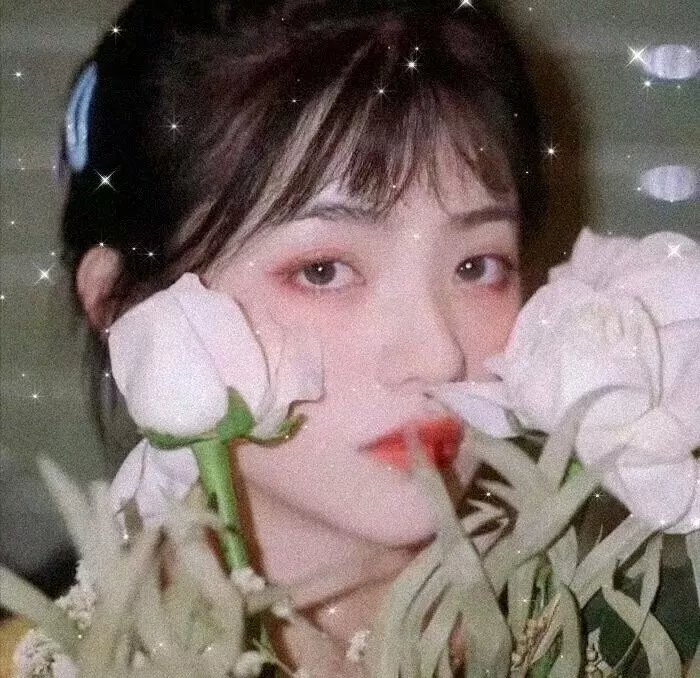 朱门怨